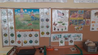 ilustracja do wpisu 
Łąka w maju